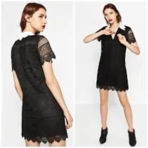ZARA Guipure Black Lace Dress White Crochet Collar Size Small